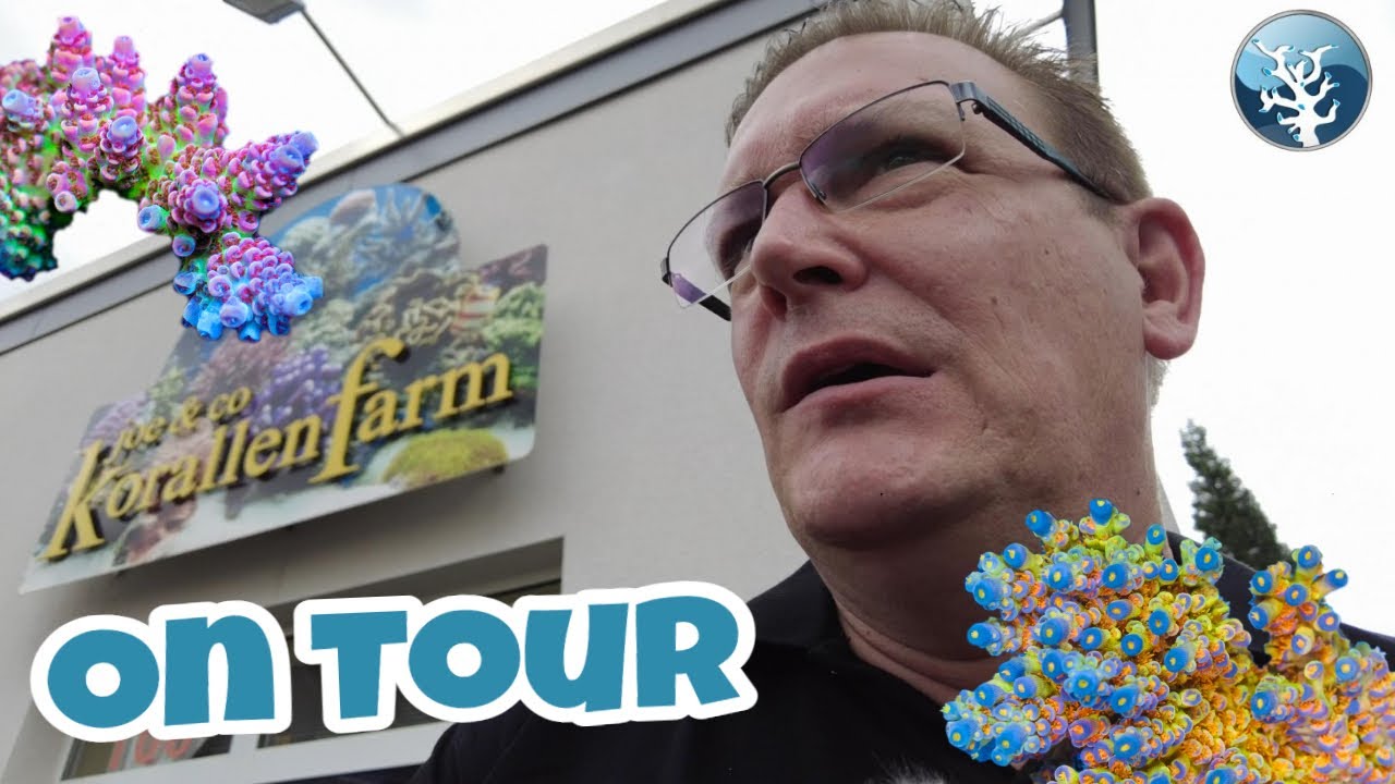 📢 On Tour Joe & Co Korallenfarm ⭐ Ladenlokal & Korallenfarm mit Interview zur SPS Nachzucht ⭐