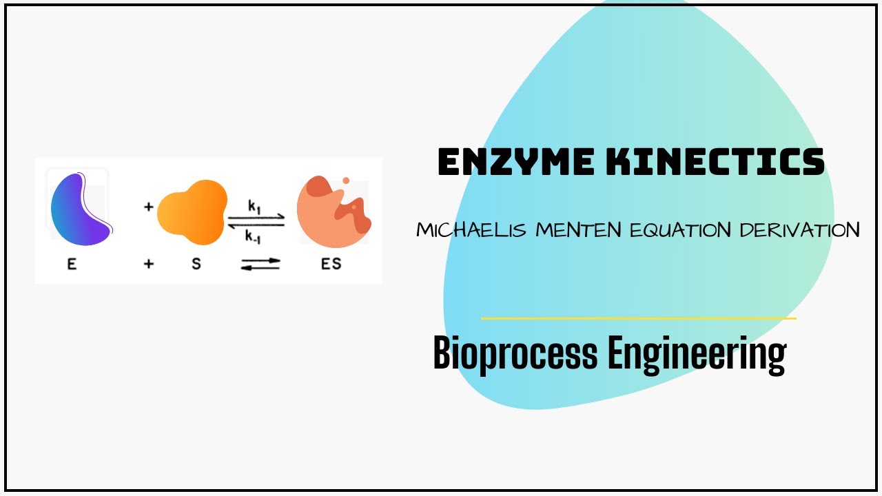 Michaelis Menten Equation Derivation||Enzyme Kinetics||Bioprocess Engineering||GATE Biotechnology BT