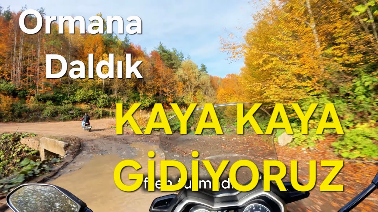 Xmax 400 ile orman yollarına daldım | Manzara Harika | Fenerbahçe Topuk Yaylası tesisleri