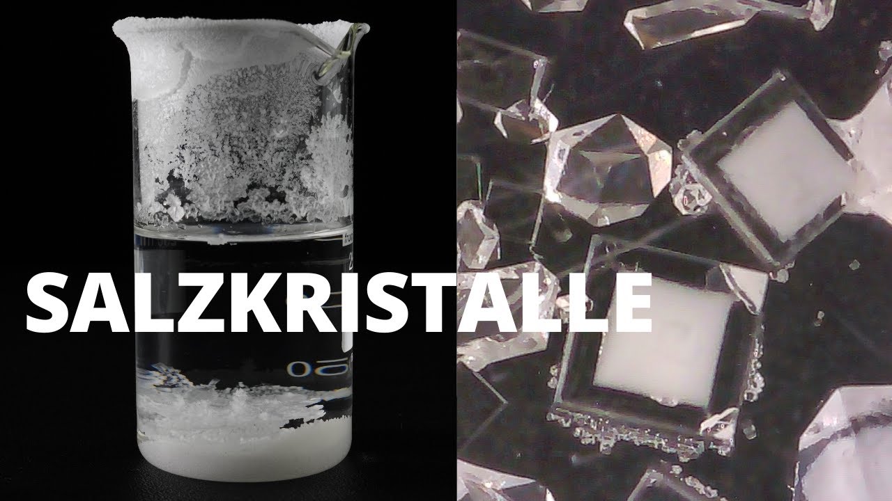 Salzkristalle selber züchten