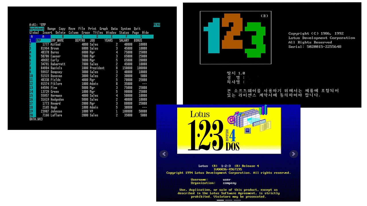 LOTUS사에 123에 대해서