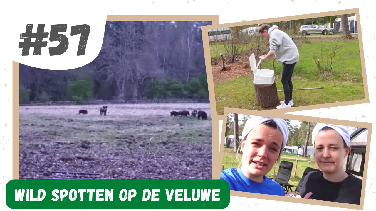 #57 WILD SPOTTEN I CAMPING DE WAPENBERG IN UGCHELEN
