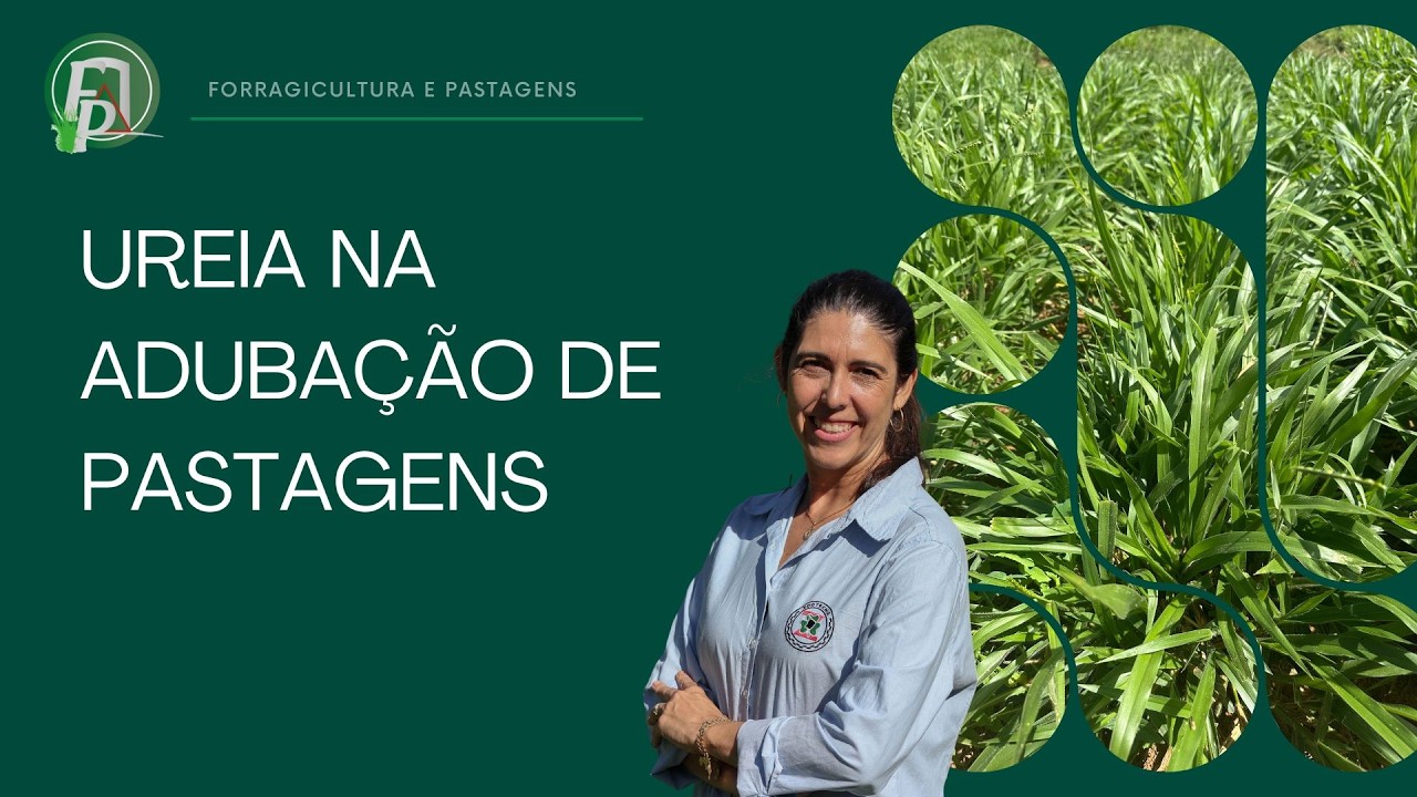 UREIA NA ADUBAÇÃO DE PASTAGENS