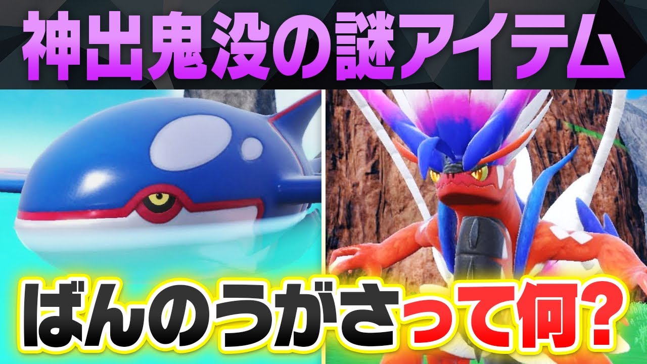 【ポケモン史上最難解】最近よく聞く「ばんのうがさ」って一体何なの？？ポケモン廃人がガチ解説します