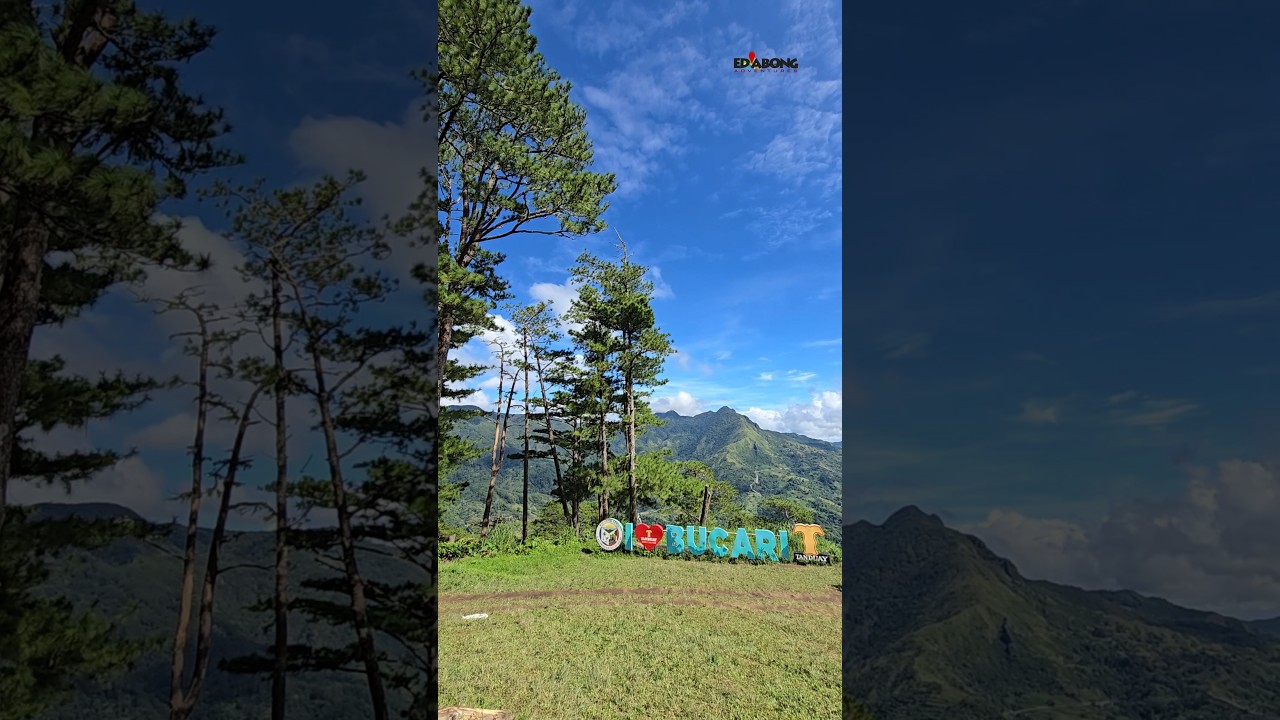 Bucari Pine Forest, Bucari, Leon, Iloilo 🇵🇭