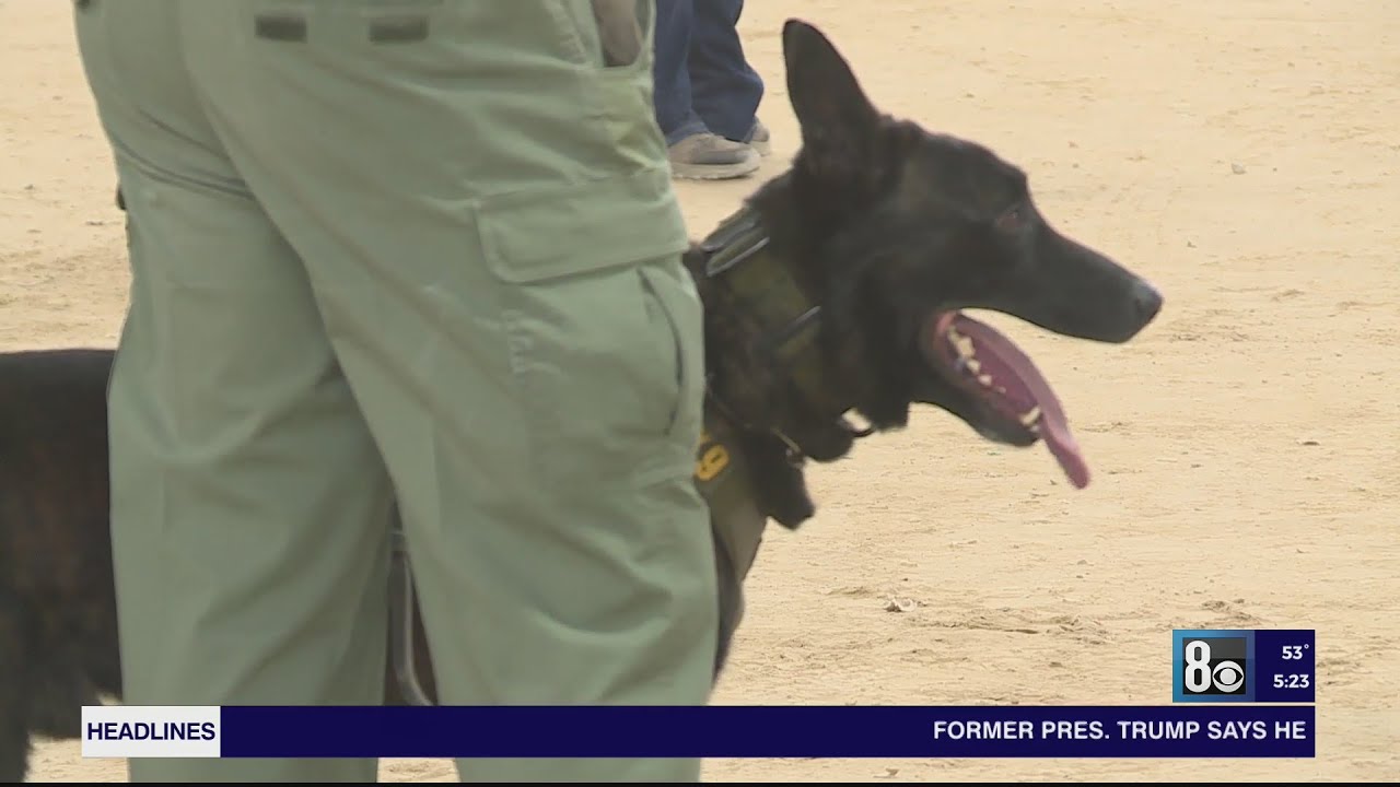 31st annual K9 Trials returns to Las Vegas