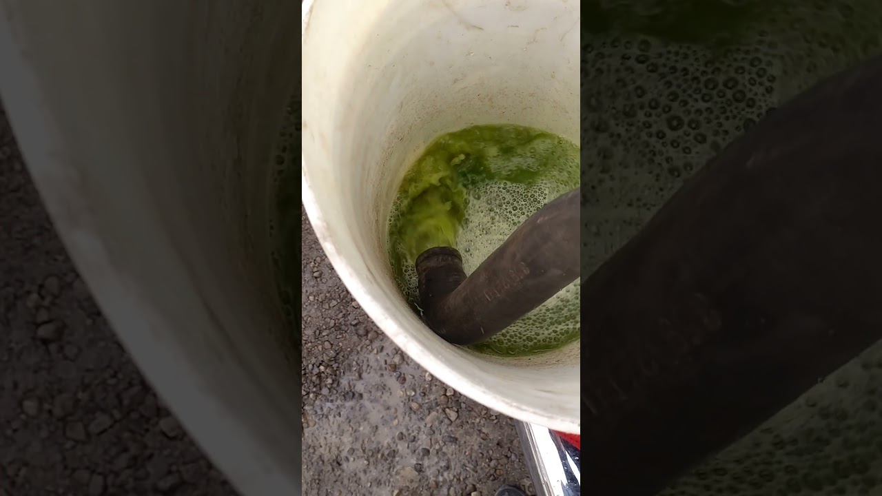 Coolant Flush, my way. #automobile