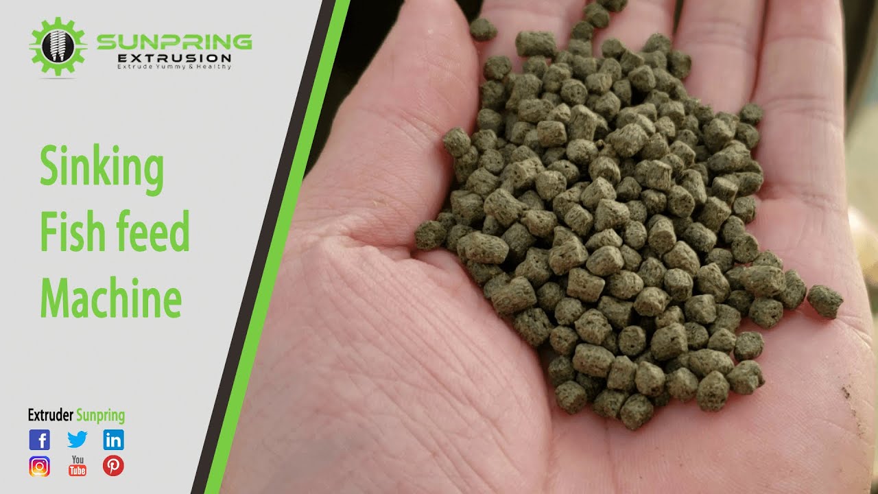 Sinking Fish Feed & Shrimp Feed Processing Line
