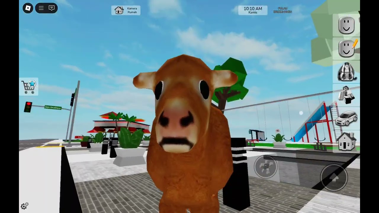 Kita jadi sapi janjok wel 👁👄👁👊