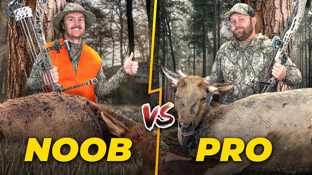 2 Beginners VS 1 Expert Archery Hunting Challenge! (Elk)