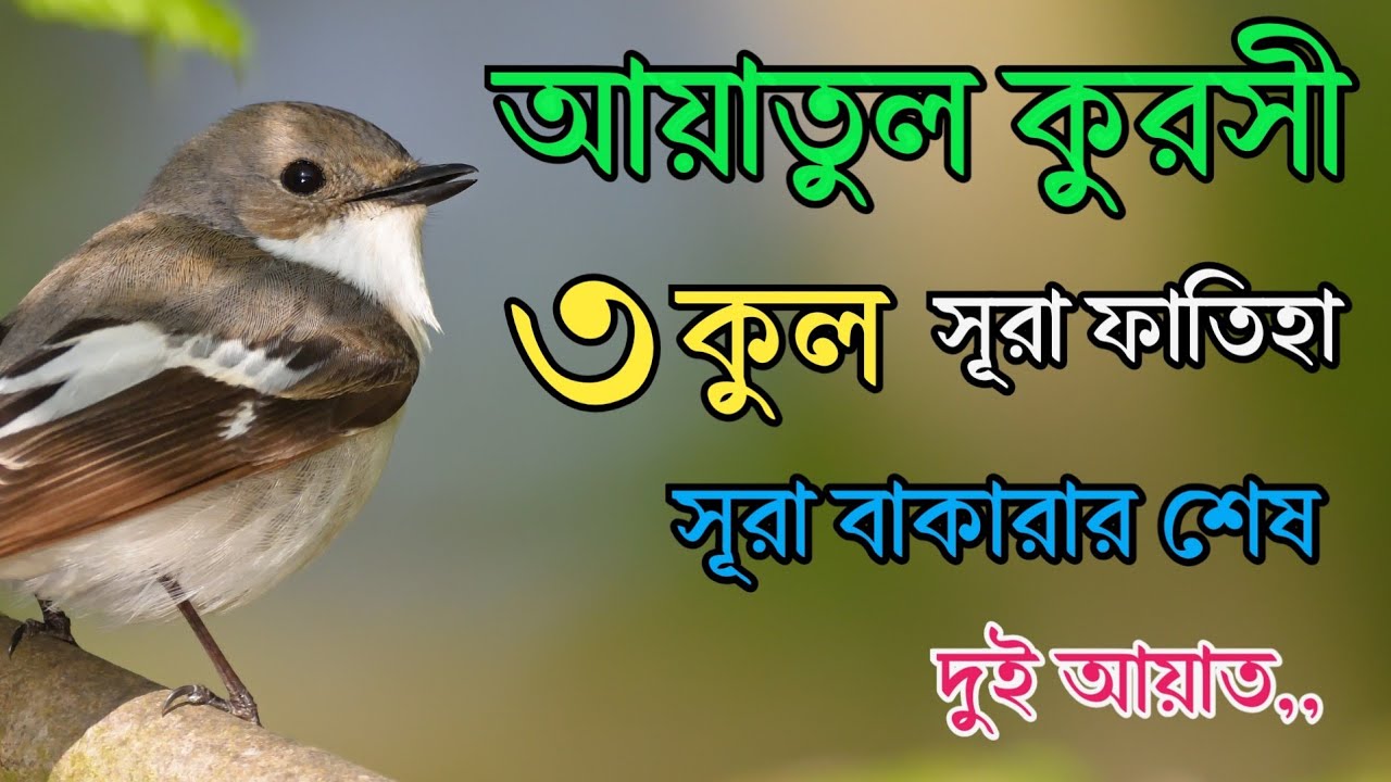 সকল বিপদ থেকে মুক্তির জন্য শুনুন | ৩ কুল, আয়াতুল কুরসী, সূরা ফাতিহা ও সূরা বাকারার শেষ দুই আয়াত |
