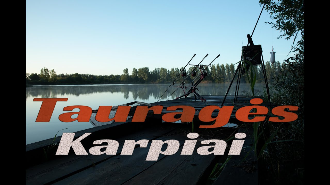 Pagerintas asmeninis rekordas, Tauragės karpiai S01E06
