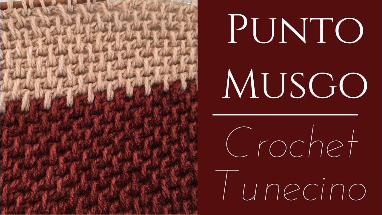 Punto Musgo, Crochet Tunecino