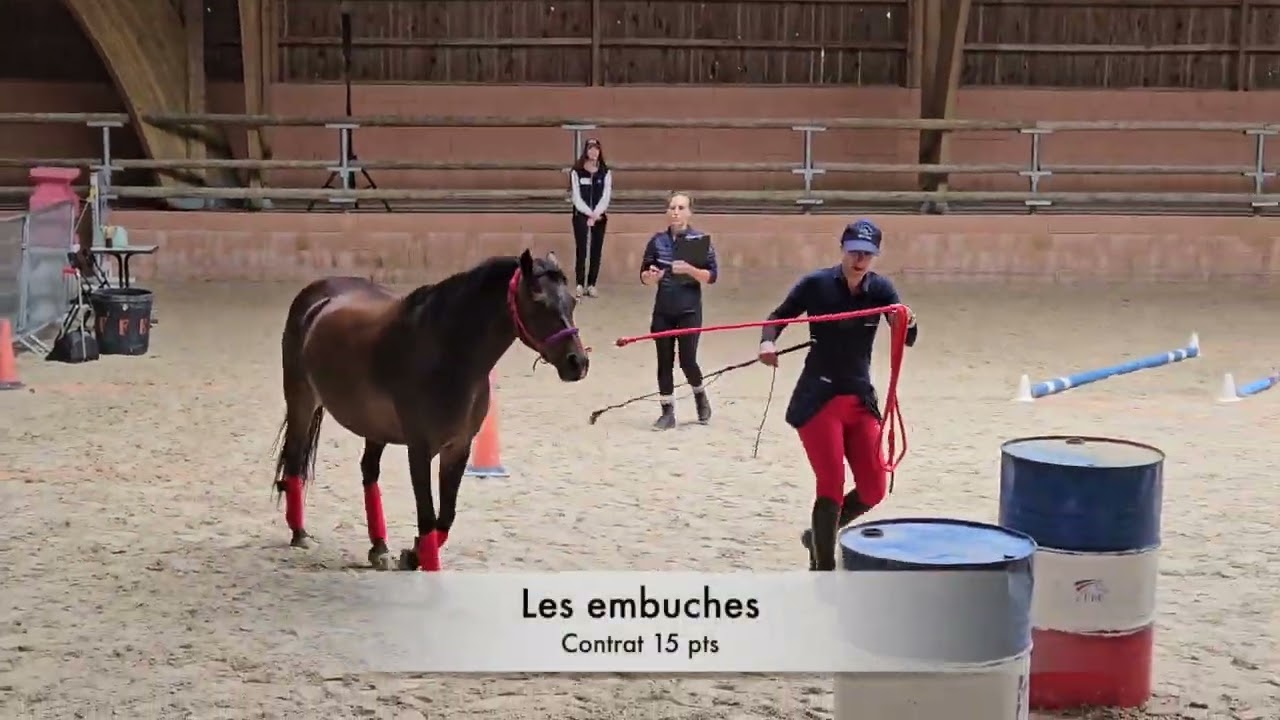 2025 Equifeel Lamotte Beuvron Club 2 avec Hermione du Gabereau jour 1