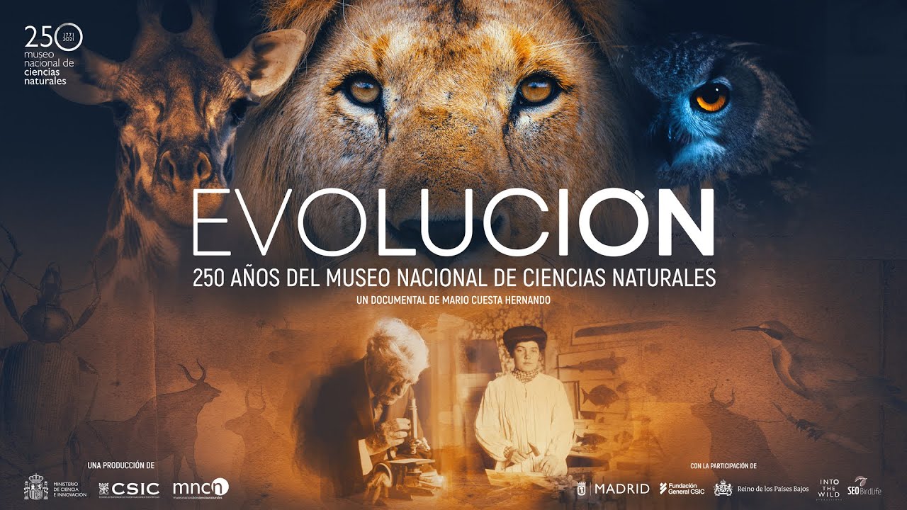 Evoluci&oacute;n. 250 a&ntilde;os del Museo nacional de Ciencias Naturales (MNCN-CSIC)
