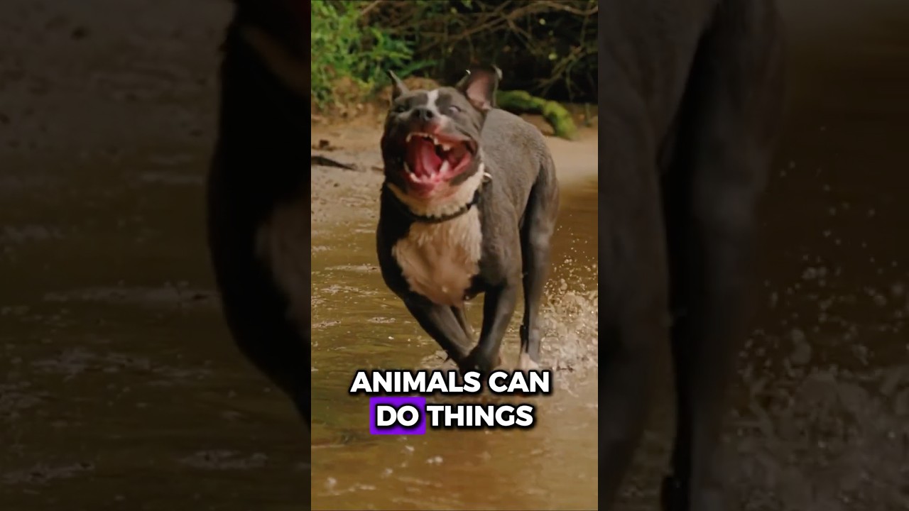 5 Animal Facts That Sound Fake But Are 100% Real 🐾