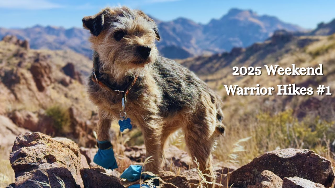 2025 Weekend Warrior Hikes #1: Superstition Mountains Loop