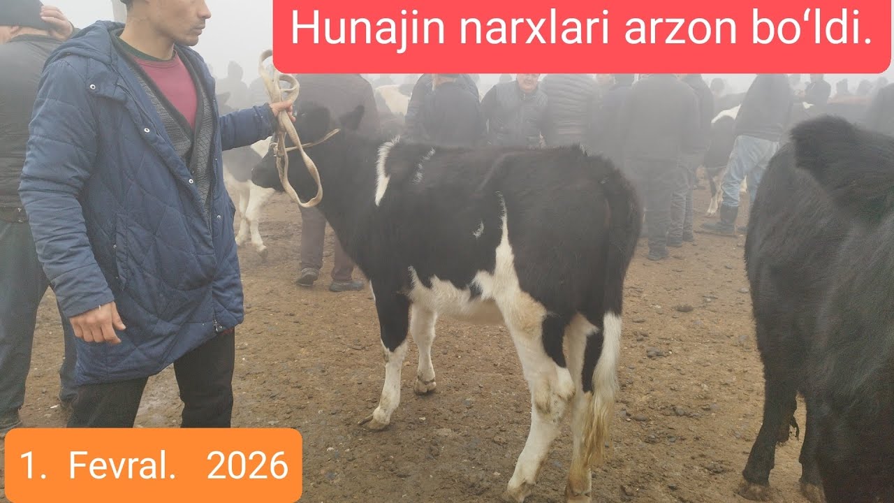 Yangiqoʻrgʻon mol bozori. Hunajin narxlari.