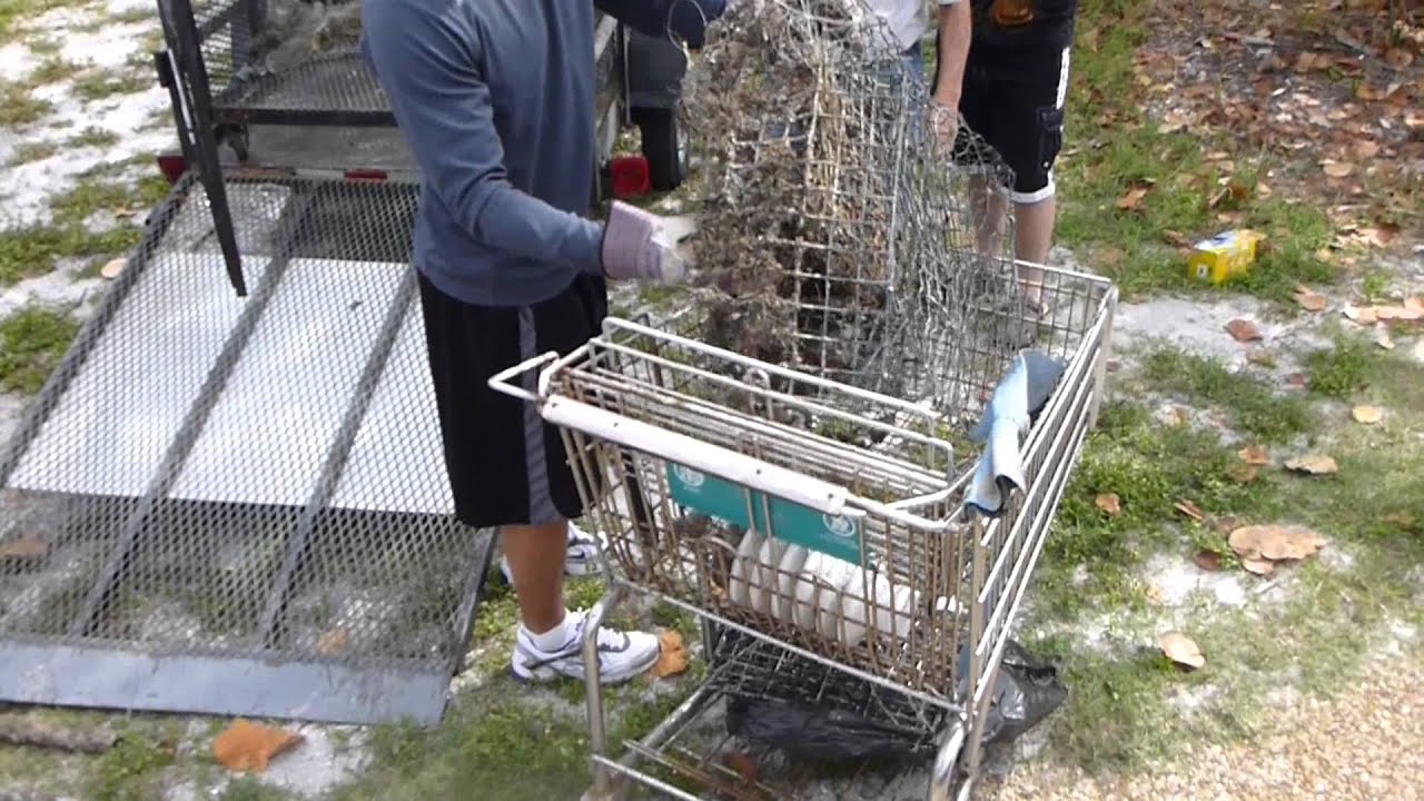 Davy Jones' shopping cart