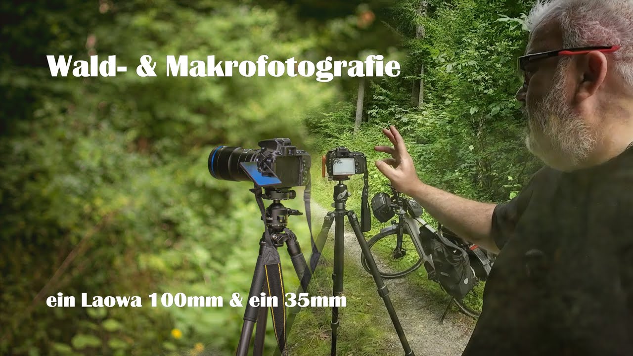 Wald- & Makrofotografie | ein Objektiv ohne CPU, wie gut geht die Belichtungsmessung?
