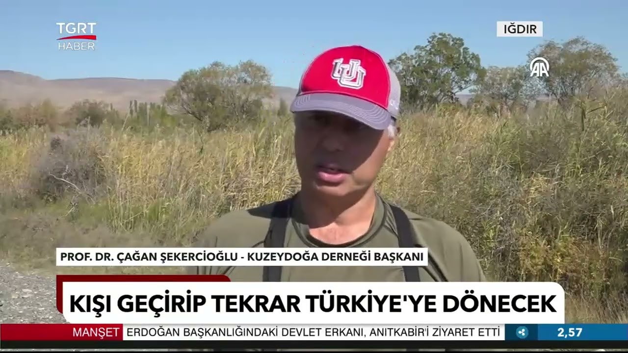 Poyraz Kuşu 8 Ülkeyi Gezdi