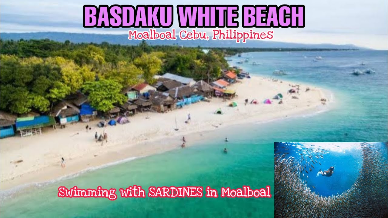 Basdaku White Beach in Moalboal Cebu Philippines | Swimming with Sardines | Jen Sotero