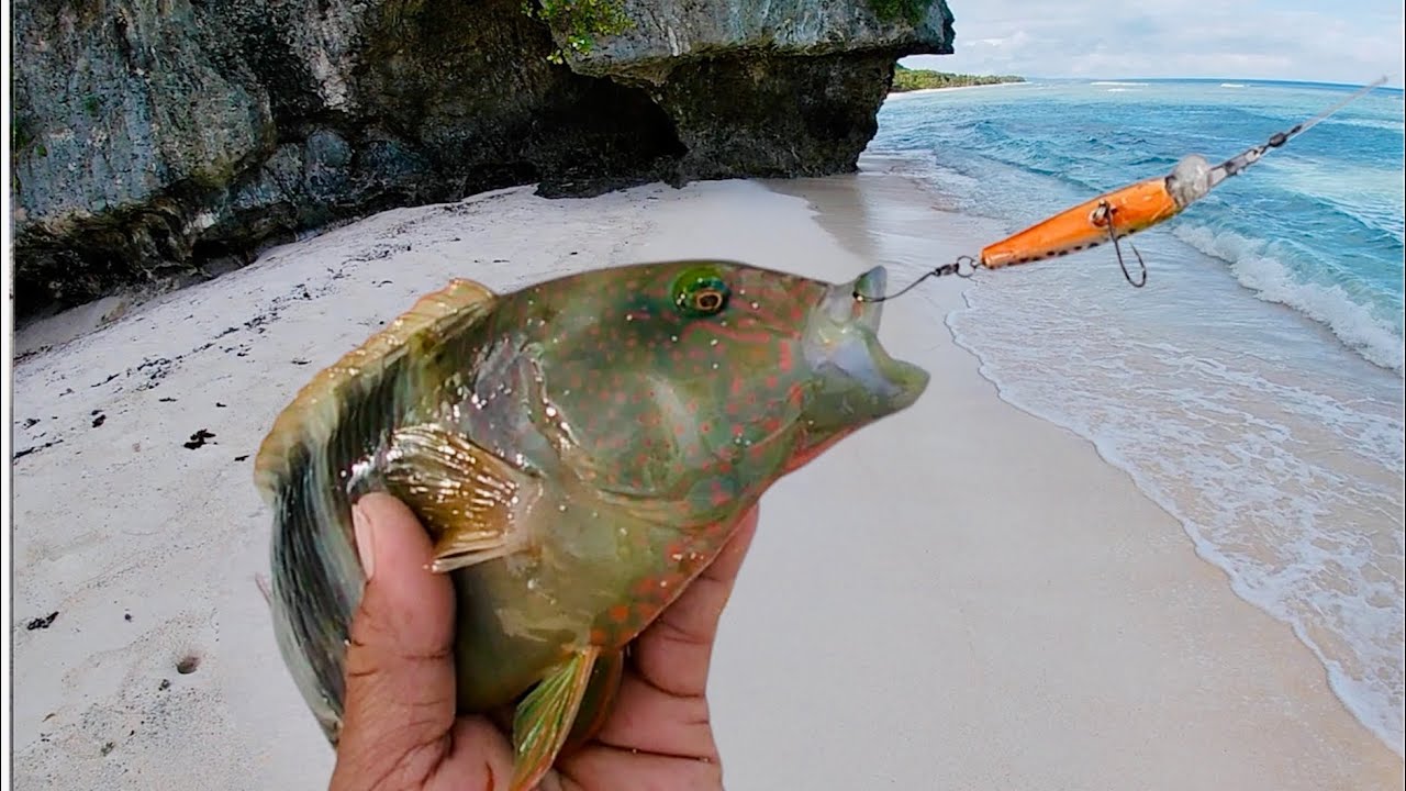Field test passed!| Guam Fishing