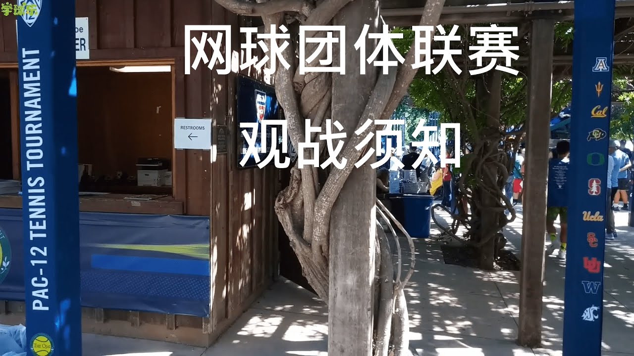 网球 - 常识 3 - 网球团体联赛, 胜负计算及规则