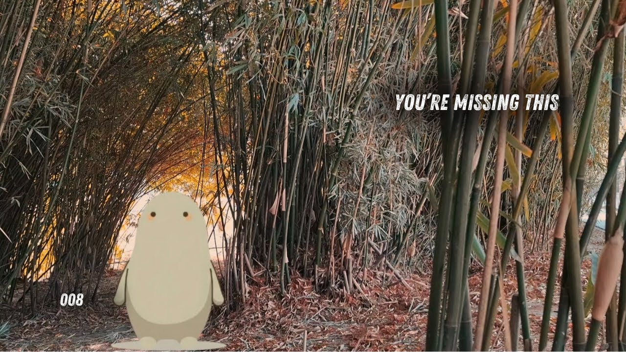 Why Progress Hides in Plain Sight