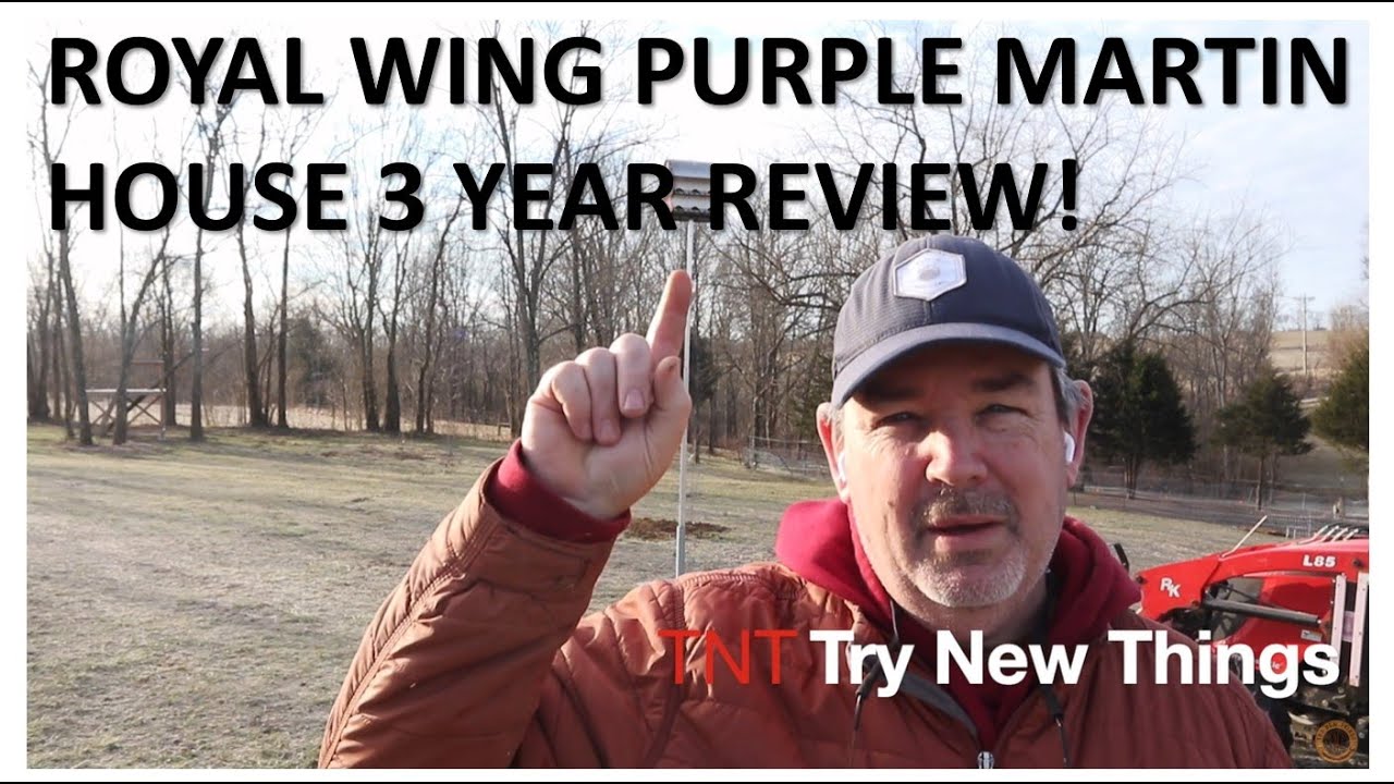 #286: Royal Wing Purple Martin House 3 Year Review