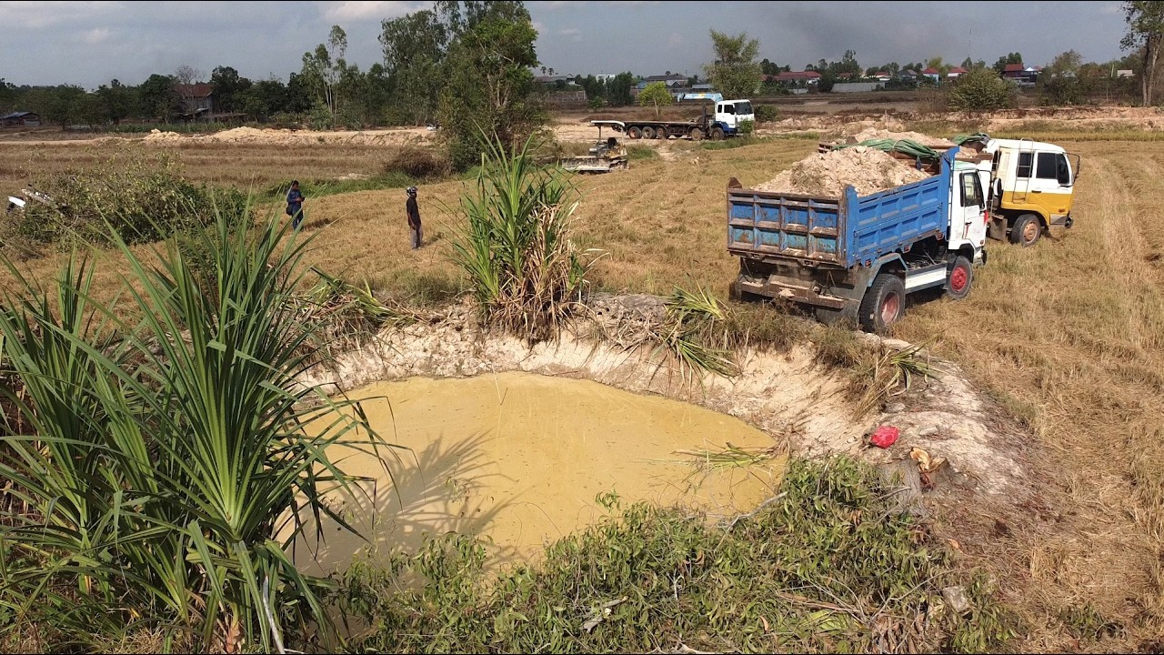 First Start Opening New PROJECT!! Landfill Delete Deep Fish Pond By Skill Dozer D20P & 5TON Truck.