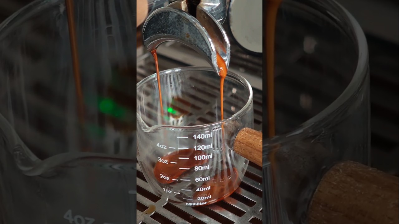 profitec pro 800 asmr☕ #profitec #espresso #coffee #flatwhite #eureka #latteart #espressomachine