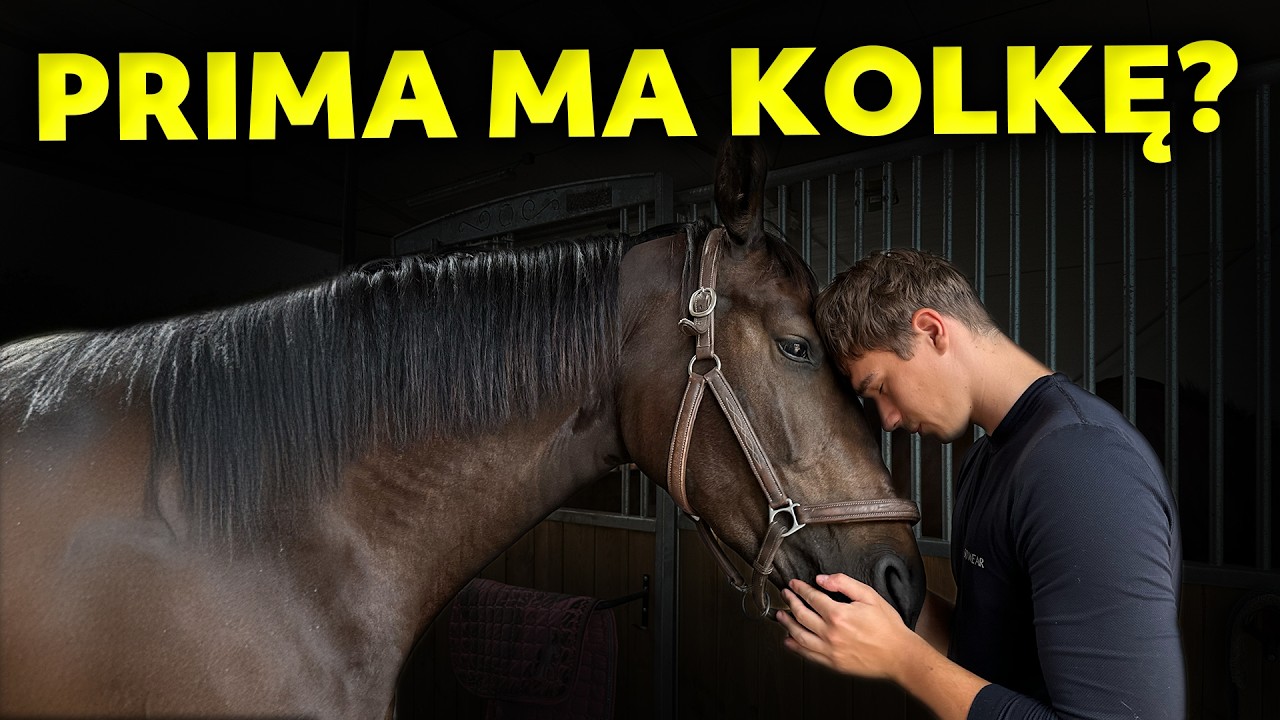 stara na wakacjach, A DILA W KLINICE | SAM W STAJNI #5