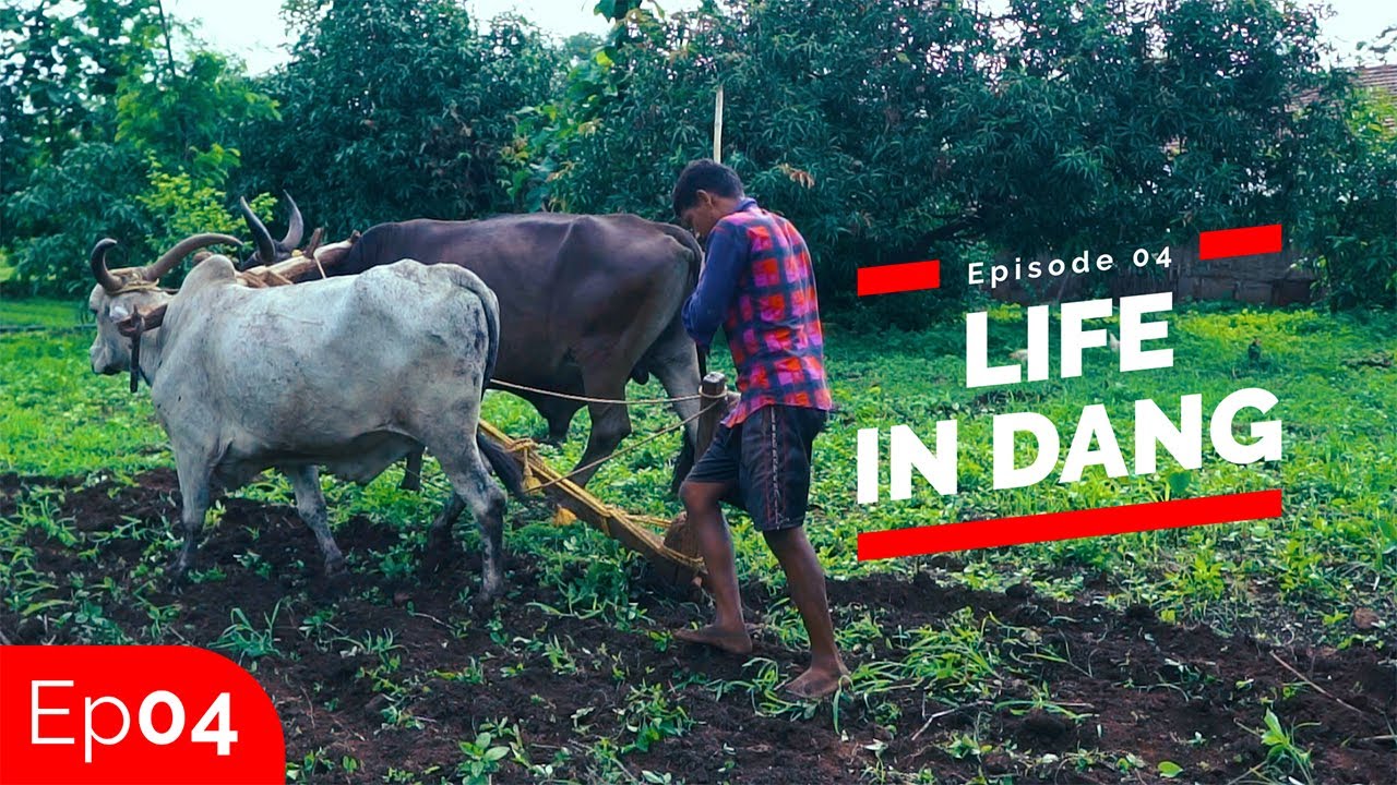 Life in Dang | Ep04 | Dang, Gujarat | Best places to visit in Gujarat | Prady