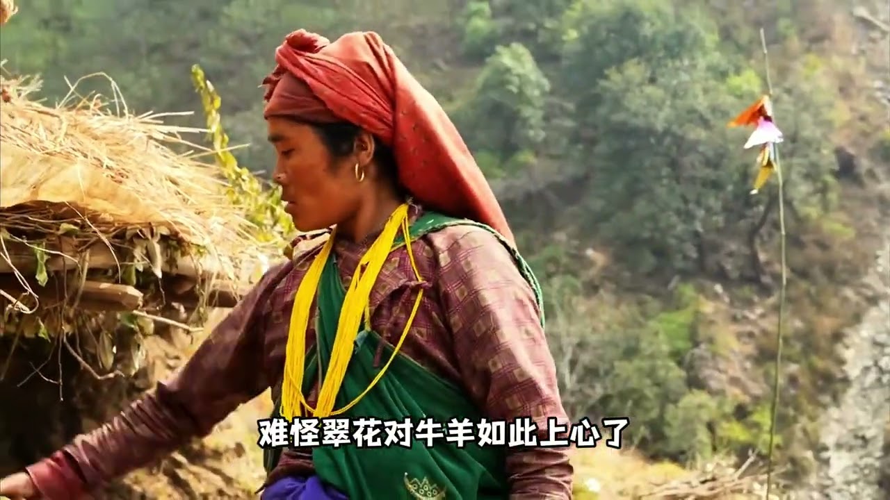 尼泊尔翠花走路去牛棚，老母亲制作水酒，喝上一口心里暖洋洋#尼泊尔#乡村生活#大山里的原生态