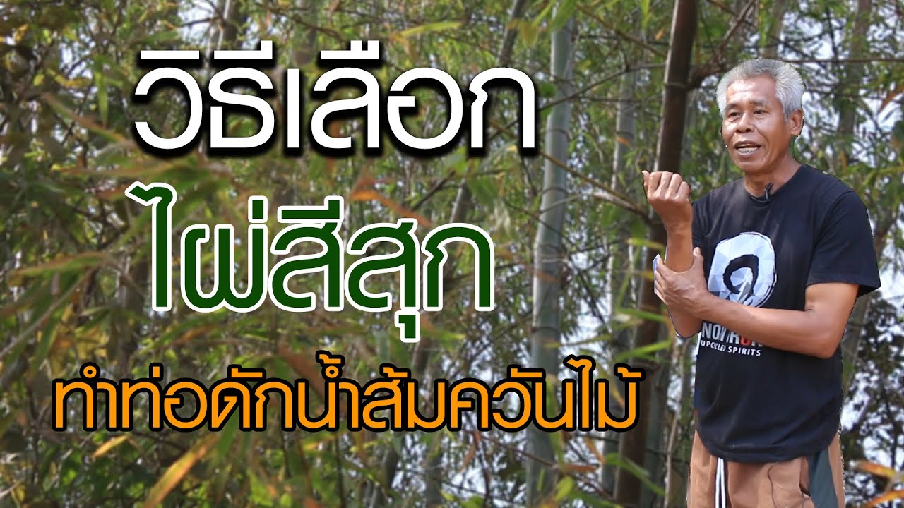 วิธีทำท่อดักน้ำส้มควันไม้จากไผ่สีสุก | คนรักษ์ป่า ep 53