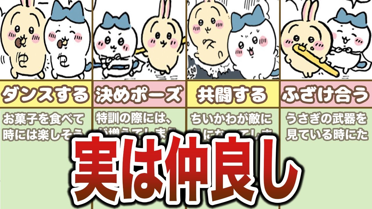 ハチワレとうさぎの仲良し友情シーンまとめ【ゆっくり解説】