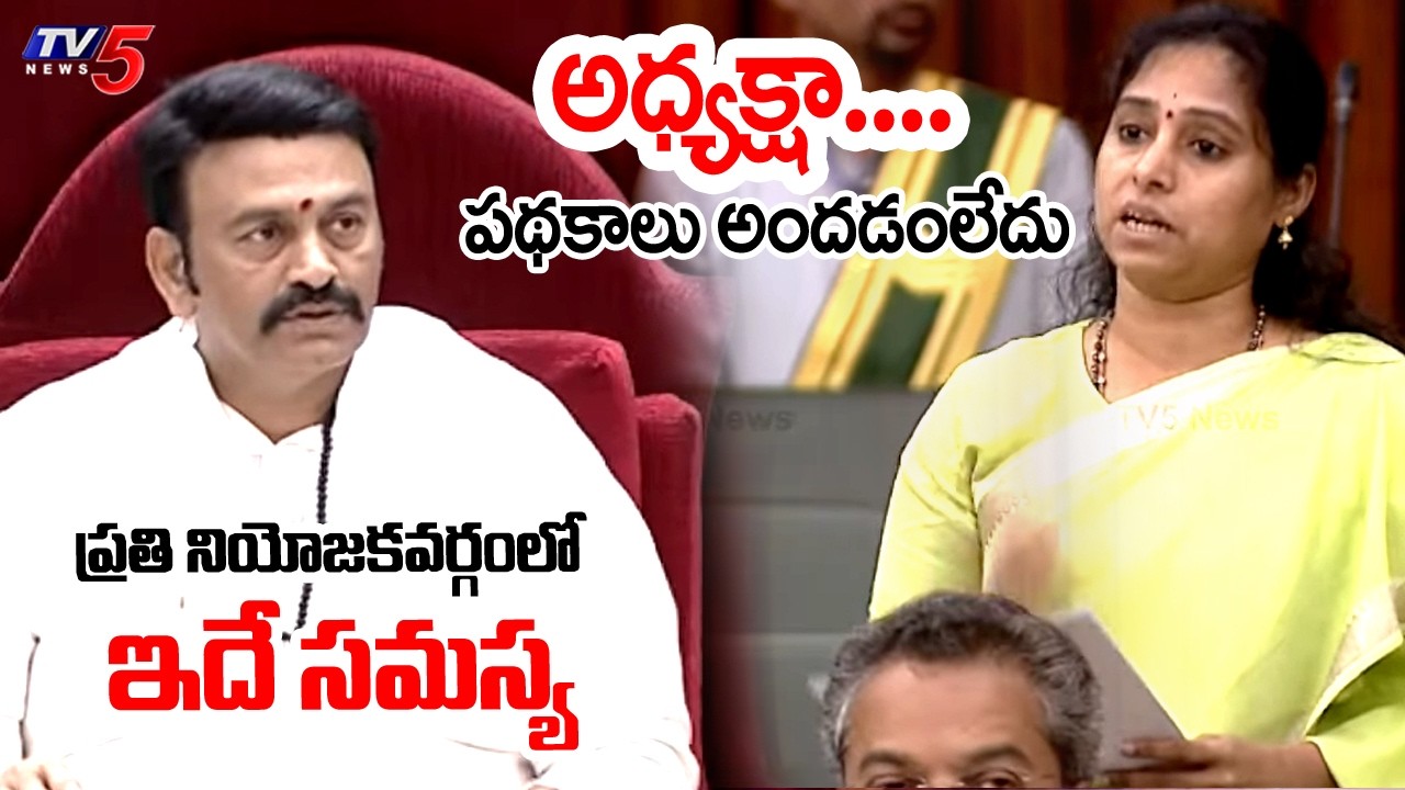 ఇదే సమస్య...TDP MLA Galla Madhavi About Govt Schemes To Outsourcing Employees | TV5 News