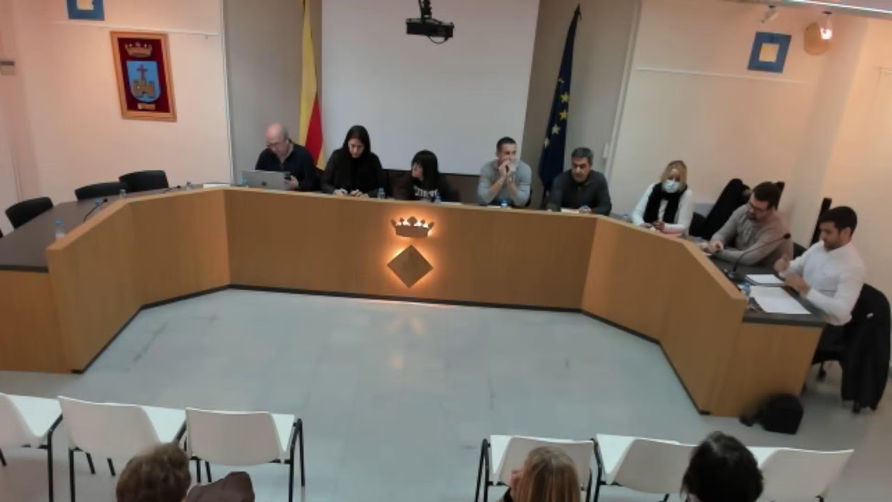 Ple ordinari 29/01/2025