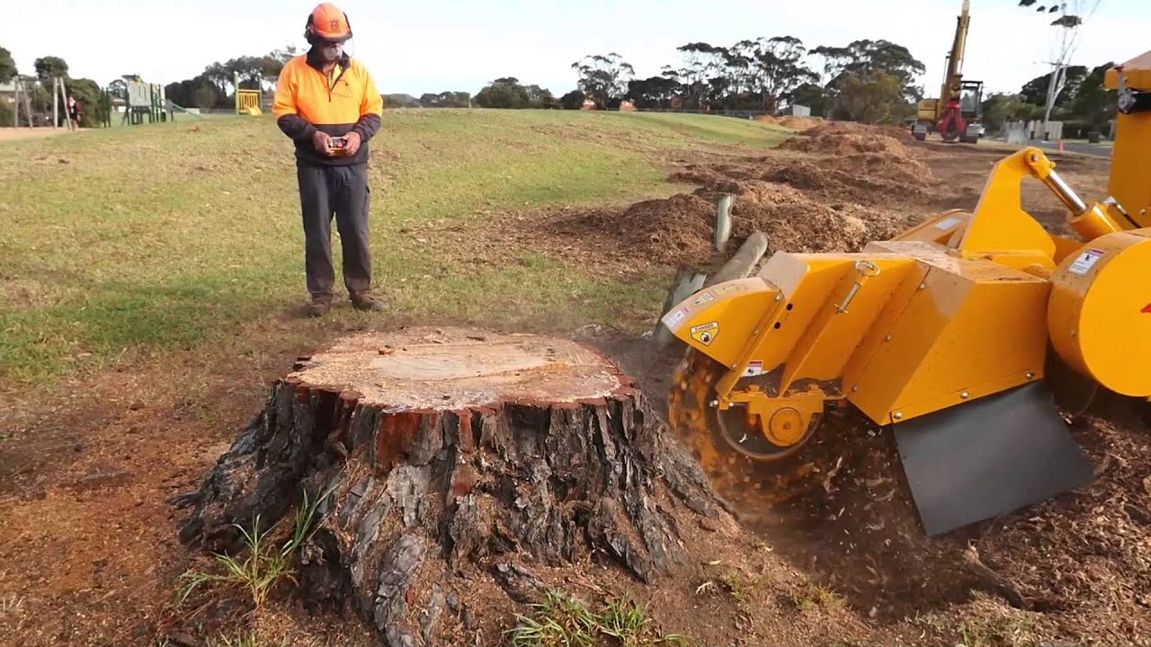 Tree Stump Removal remove a tree stump 100HP