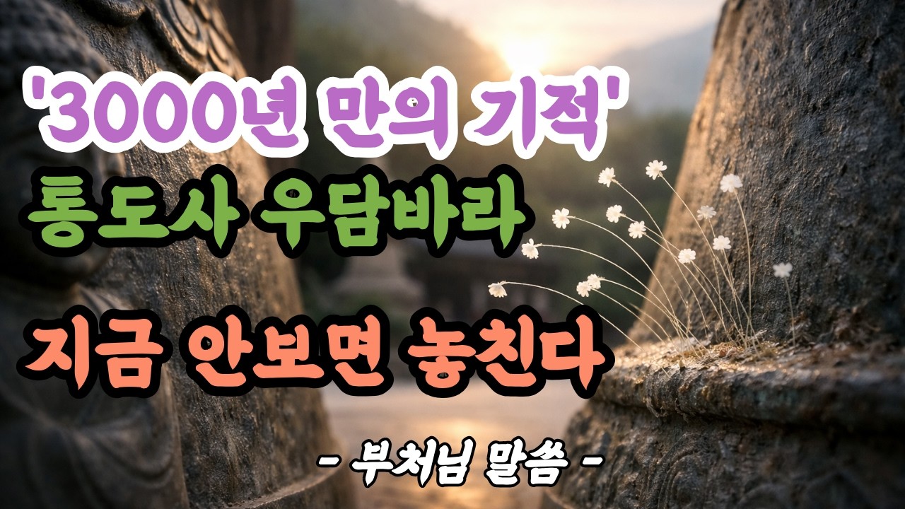 “3000년 만의 기적” 통도사 우담바라 지금 이 영상을 보는 당신에게 전하는 메시지 | 부처님 말씀 | 석가모니 가르침| 마음공부 |인생의 진리 | 불교 오디오북|