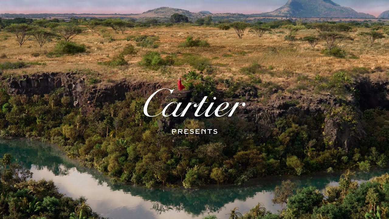Panthère de Cartier: a new film from the Maison, directed by Nathalie Canguilhem