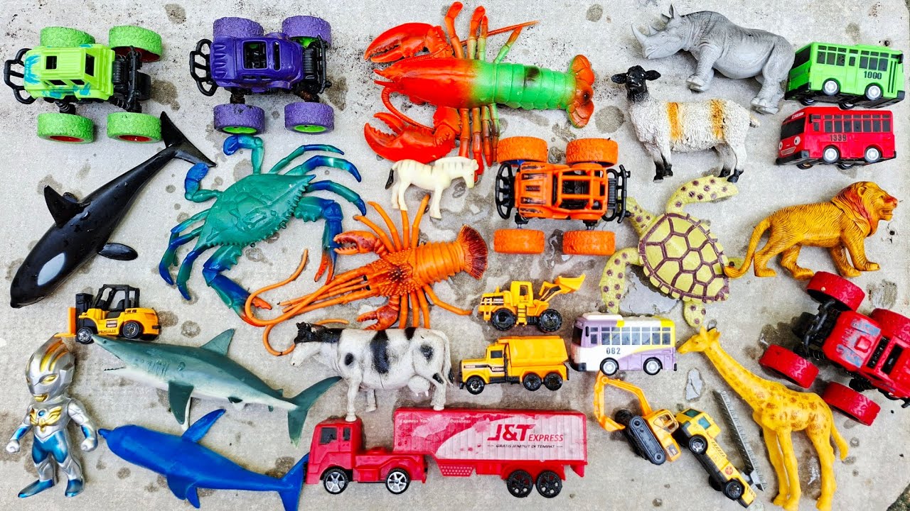 Mengumpulkan mainan di kolam, truk kontainer,bus,mobil mobilan,singa,sapi,badak,lobster,kurakura