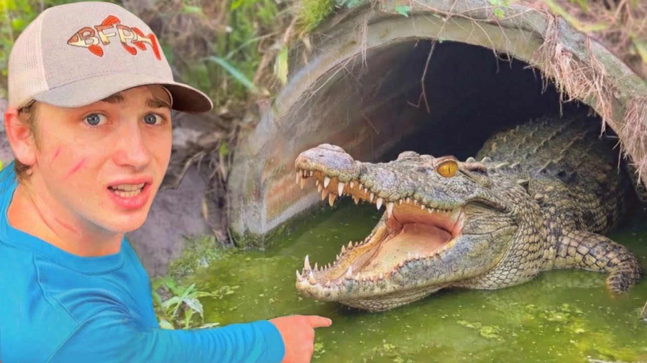 I Discovered Monsters Living in a Hidden Tunnel&hellip;