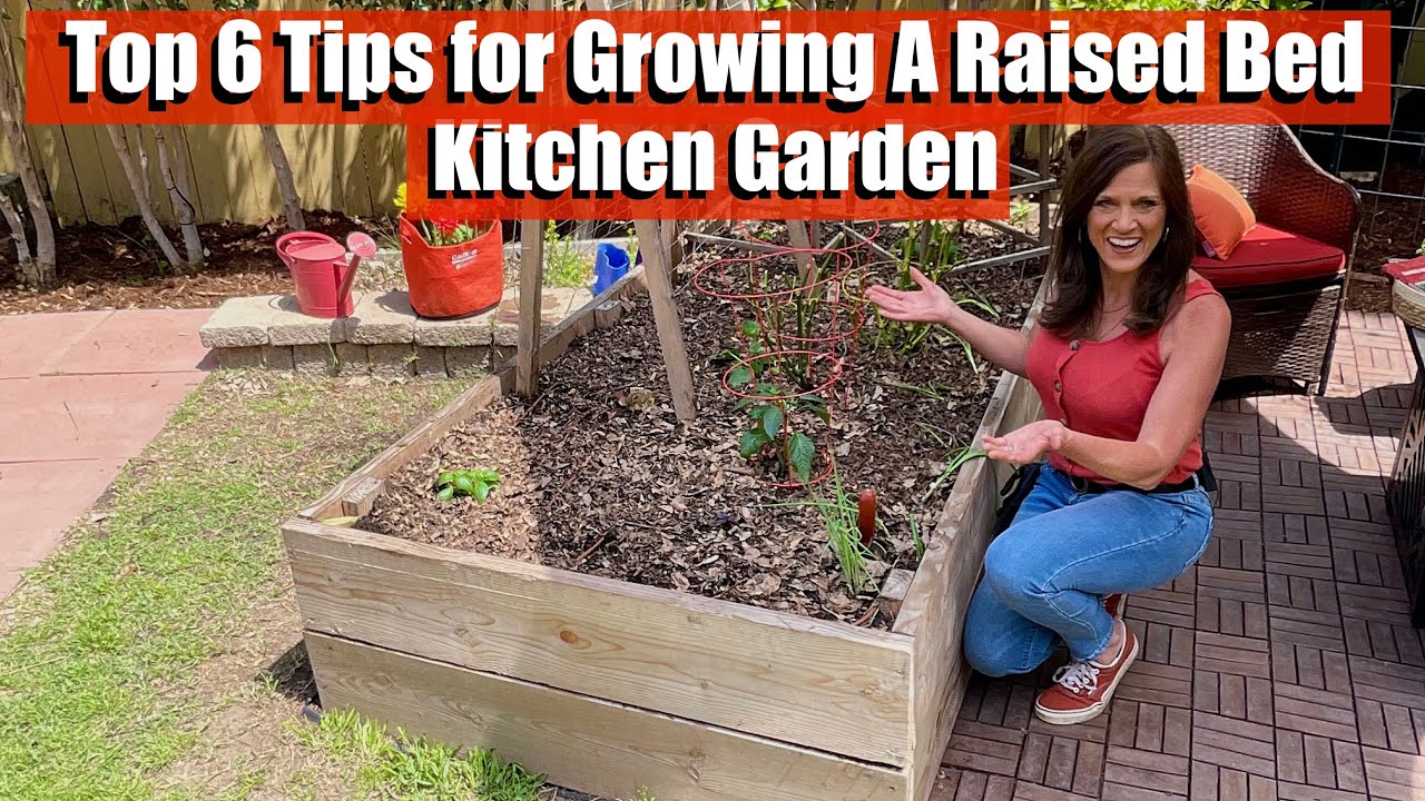 Top 6 Tips to Grow Lots of Vegetables a Raised Bed Kitchen Garden