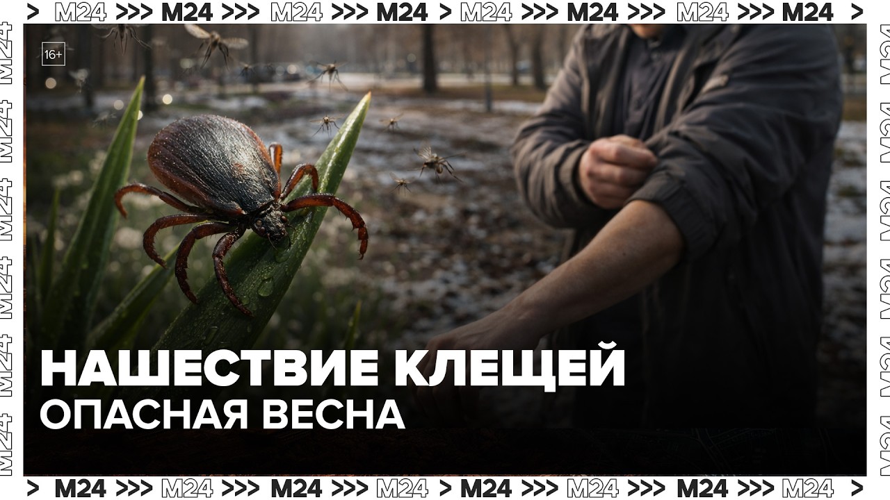 Нашествие клещей и комаров в Москве: эксперты предупреждают о весенней угрозе