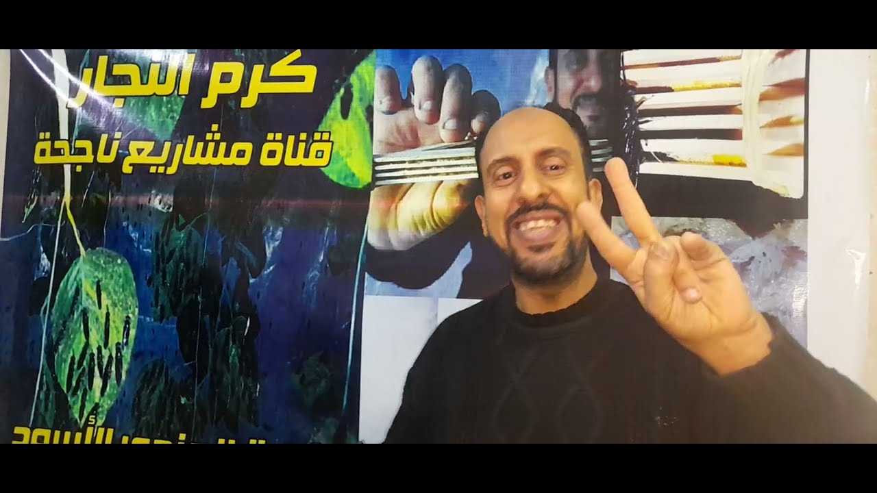 تربية يرقات ذبابة الجندى الاسود من  البداية للمبتدئينBlack soldiers fly eggs 00201203103910 