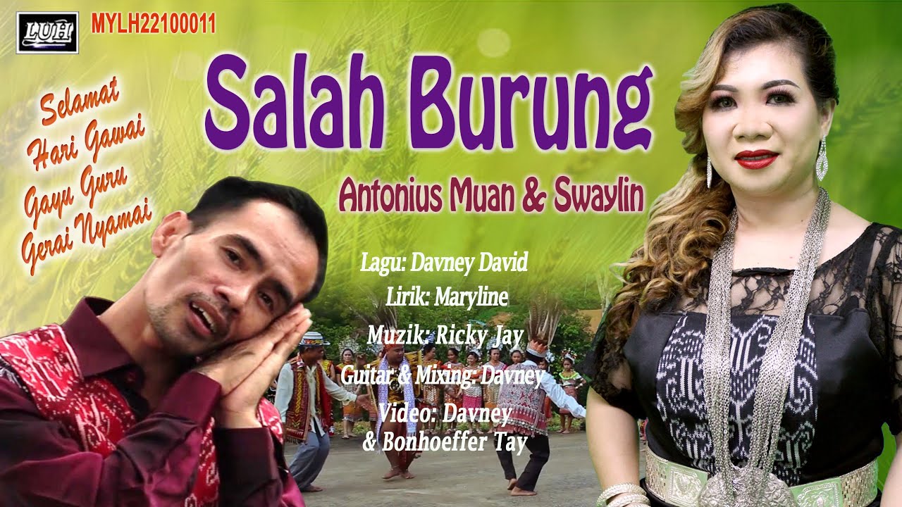 Swaylin & Antonius Muan_Salah Burung (Official Music Video)