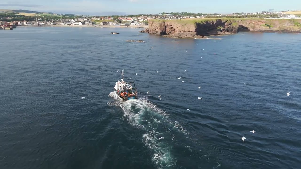 FAIRNIES LH142 coming into Eyemouth harbour