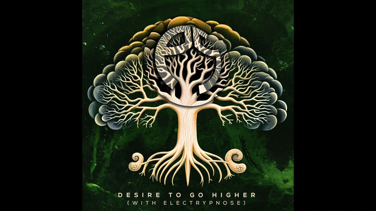 Perfect Stranger & Electrypnose - Desire to Go Higher